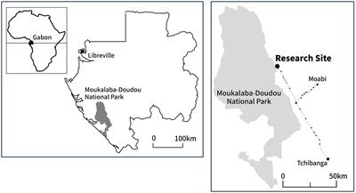 Human-elephant conflict in the African rainforest landscape: crop-raiding situations and damage mitigation strategies in rural Gabon